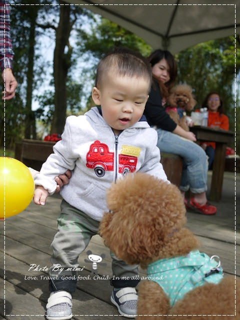 [桃園美食]我愛大自然。桃園 綠風草原餐廳。寵物友善餐廳