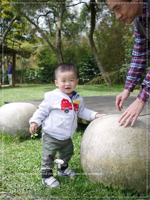 [桃園美食]我愛大自然。桃園 綠風草原餐廳。寵物友善餐廳