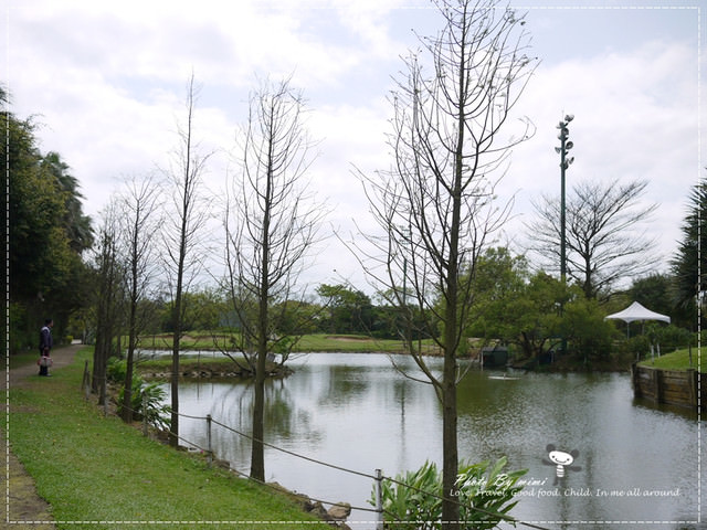 [桃園美食]我愛大自然。桃園 綠風草原餐廳。寵物友善餐廳