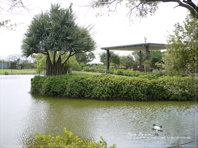 [桃園美食]我愛大自然。桃園 綠風草原餐廳。寵物友善餐廳
