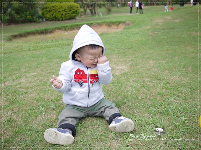 [桃園美食]我愛大自然。桃園 綠風草原餐廳。寵物友善餐廳