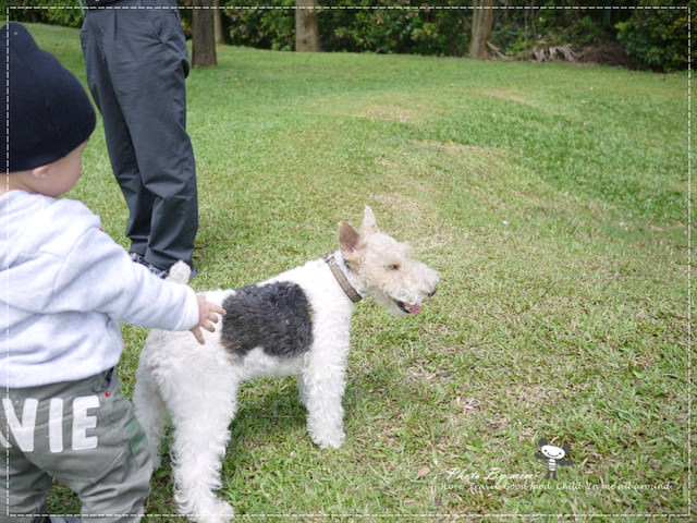 [桃園美食]我愛大自然。桃園 綠風草原餐廳。寵物友善餐廳