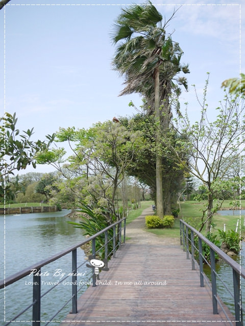 [桃園美食]我愛大自然。桃園 綠風草原餐廳。寵物友善餐廳