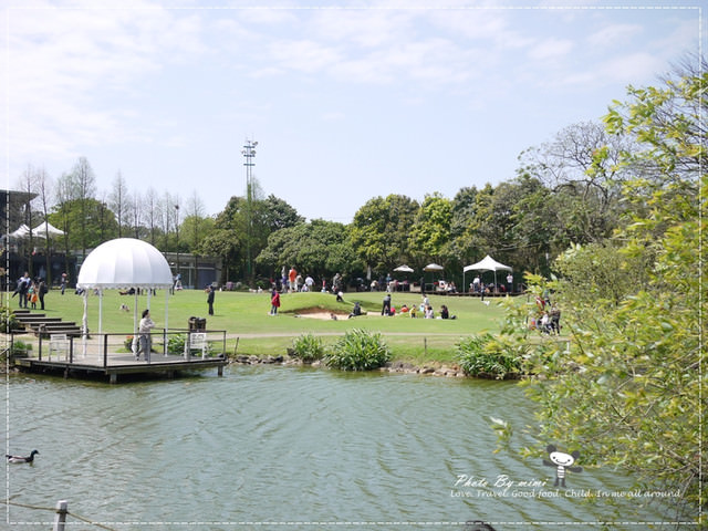 [桃園美食]我愛大自然。桃園 綠風草原餐廳。寵物友善餐廳