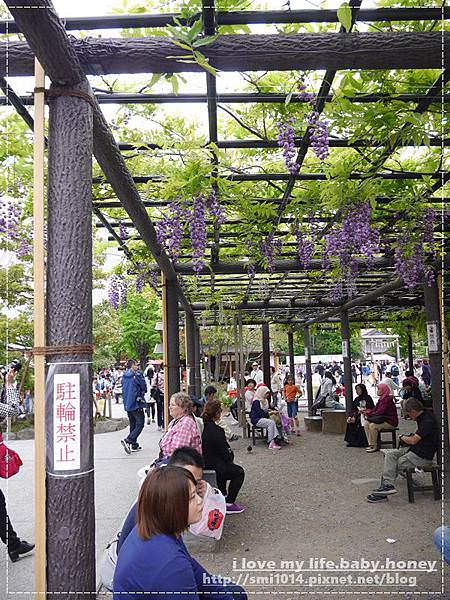 【東京自由行】淺草 雷門.仲見世通散步去。必嚐花月堂波蘿麵包。走走看看之看圖說故事好愜意小遊記 - 第27張圖 P2070562.JPG