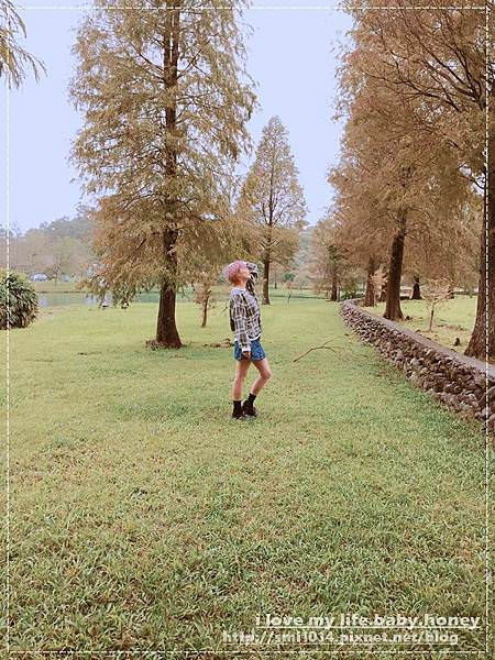 IMG_9445.JPG IMG_9445.JPG