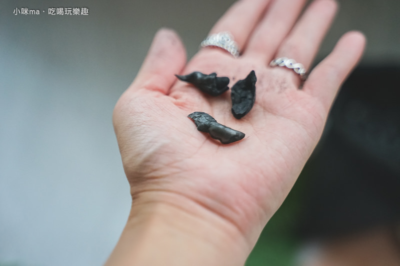 菱殼炭 菱殼炭
