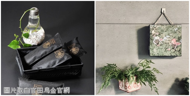 菱殼炭 菱殼炭