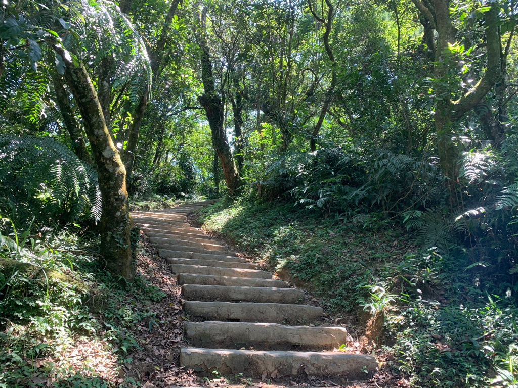 大研生醫 動易動非變性二型膠原蛋白 ▏愛登山健行的公婆不再卡卡 UC-ll膠原蛋白一顆給你足量補充。四大關鍵配方 天天充滿靈活力。運動族、年長族群靠它顧好行動力。