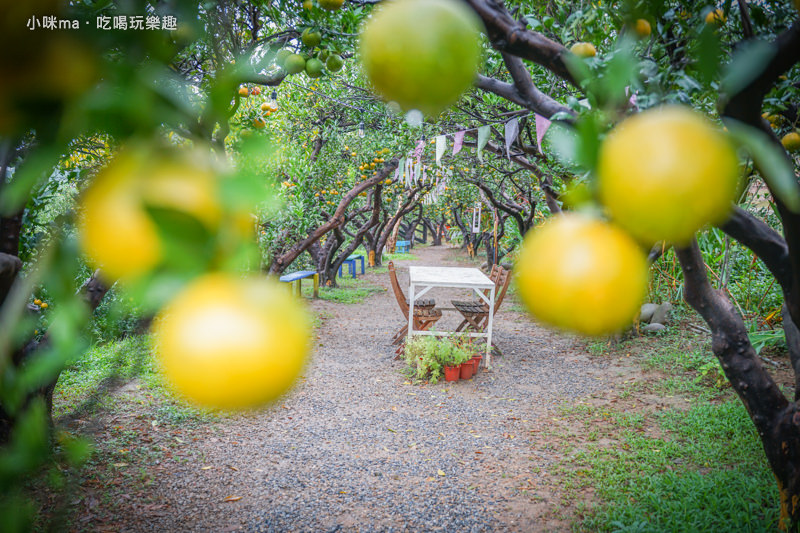 橙香森林 橙香森林