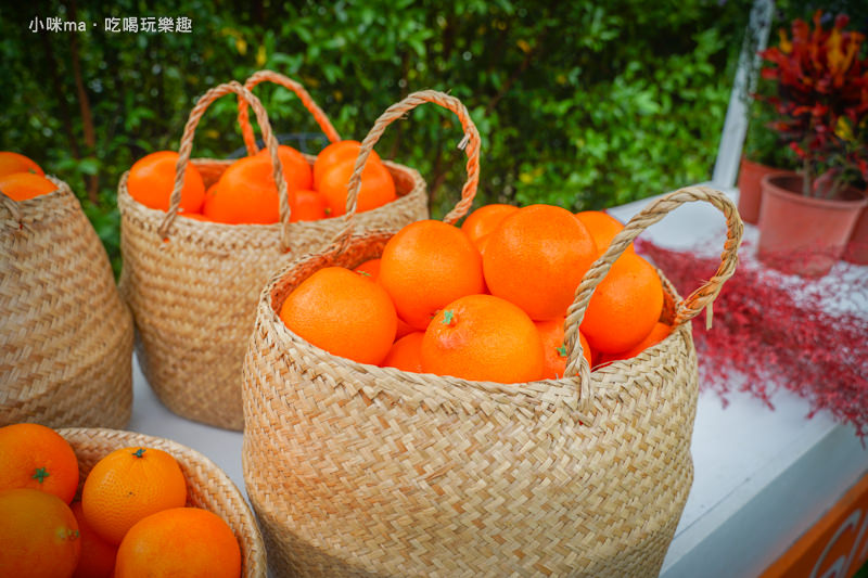 橙香森林 橙香森林