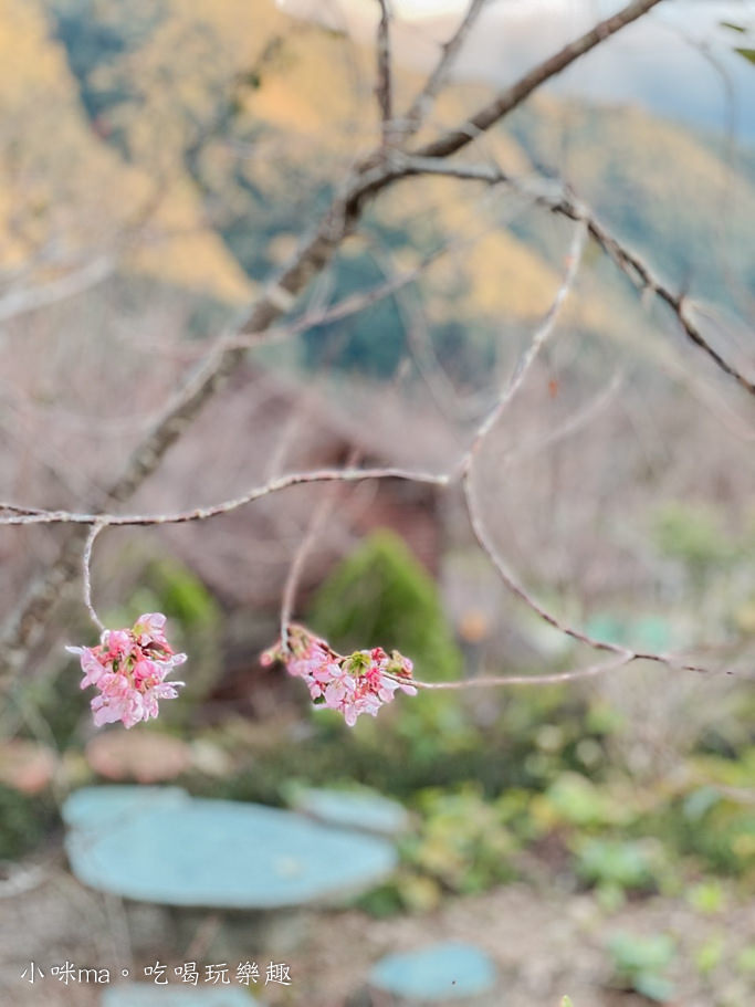 拉拉山楓墅農莊 拉拉山楓墅農莊