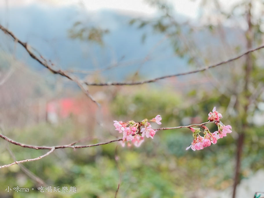 拉拉山楓墅農莊 拉拉山楓墅農莊