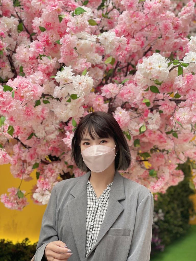 醫療口罩 醫療口罩