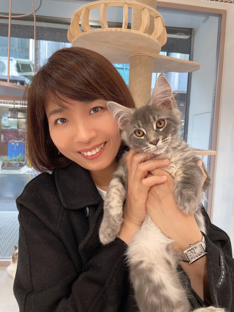 紅玥緬因貓藝廊|貓奴必訪 滿滿緬因貓讓你撸到爽。結合緬因貓x藝廊 手機容量必須清空再去 讓我們一起融化在貓貓世界裡。捷運雙連站