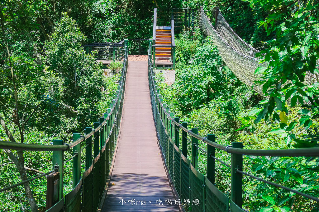 小錐麓步道|太魯閣低難度步道 沿路欣賞斷崖、立霧溪美景、吊橋。走到底連接砂卡噹步道。太魯閣景點 / 花蓮旅遊 - 第17張圖 小錐麓步道|太魯閣低難度步道 沿路欣賞斷崖、立霧溪美景、吊橋。走到底連接砂卡噹步道。太魯閣景點 / 花蓮旅遊