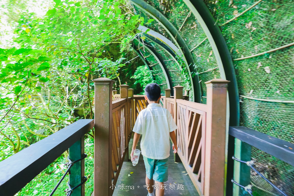 小錐麓步道|太魯閣低難度步道 沿路欣賞斷崖、立霧溪美景、吊橋。走到底連接砂卡噹步道。太魯閣景點 / 花蓮旅遊 - 第11張圖 小錐麓步道|太魯閣低難度步道 沿路欣賞斷崖、立霧溪美景、吊橋。走到底連接砂卡噹步道。太魯閣景點 / 花蓮旅遊