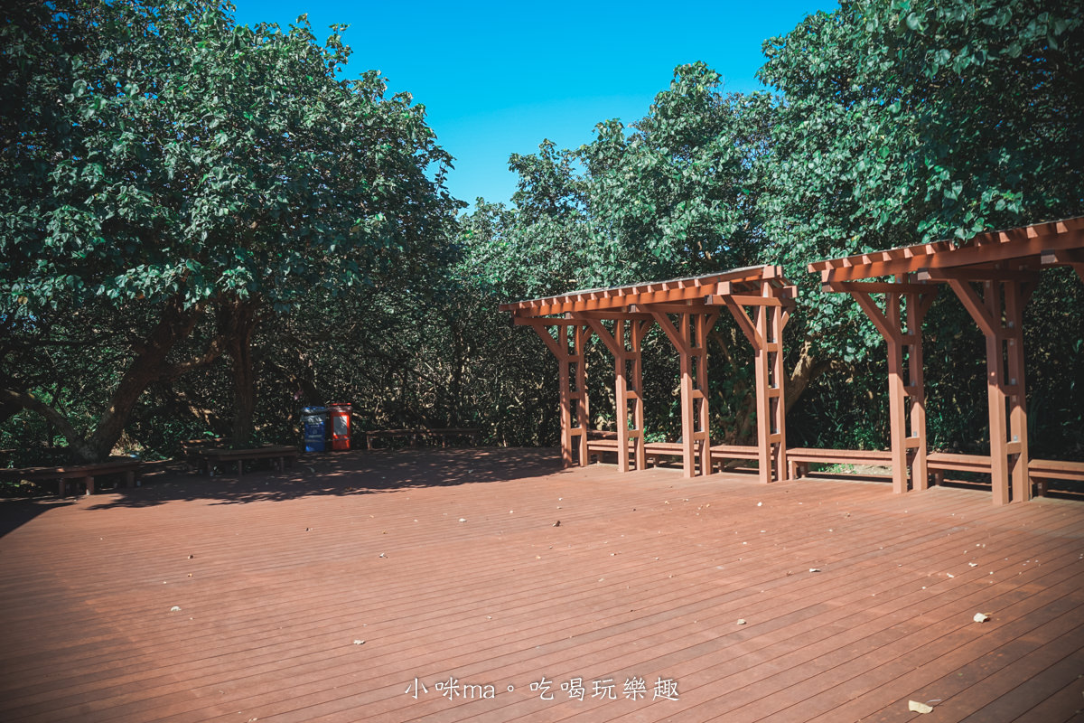 草漯沙丘地質公園｜有台版撒哈拉沙漠之稱，特別的沙丘地形可以拍大片啊，還有龍貓隧道很美。桃園景點