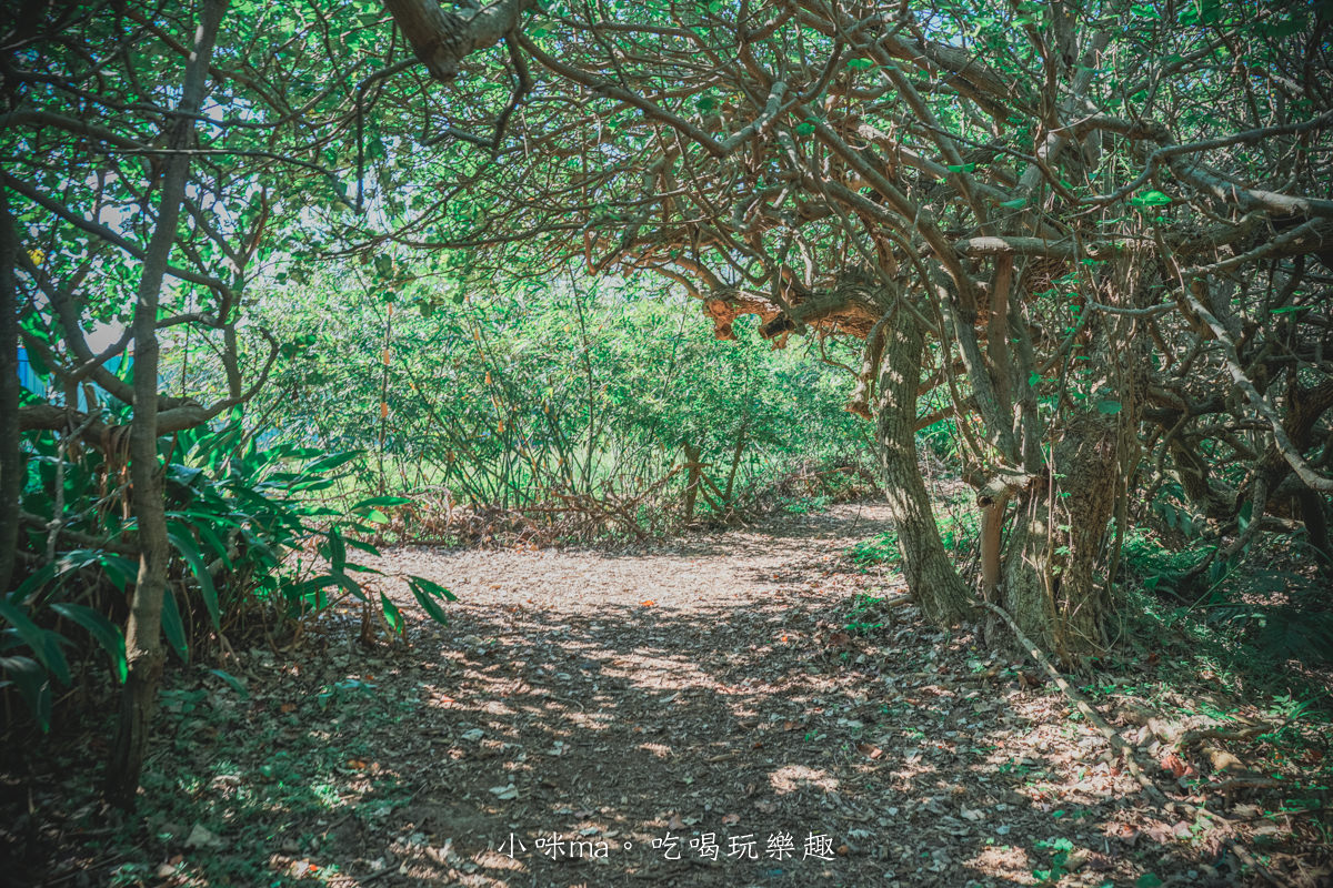 草漯沙丘地質公園｜有台版撒哈拉沙漠之稱，特別的沙丘地形可以拍大片啊，還有龍貓隧道很美。桃園景點