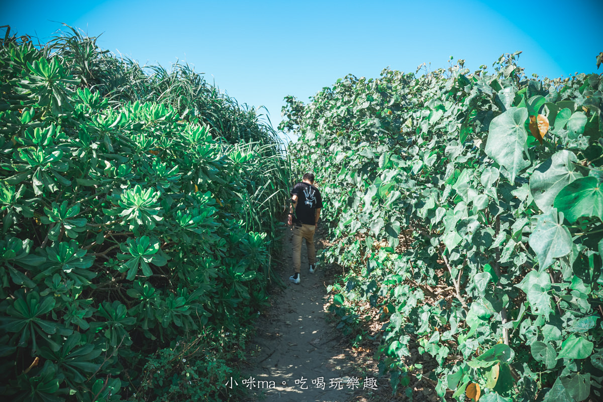 草漯沙丘地質公園｜有台版撒哈拉沙漠之稱，特別的沙丘地形可以拍大片啊，還有龍貓隧道很美。桃園景點