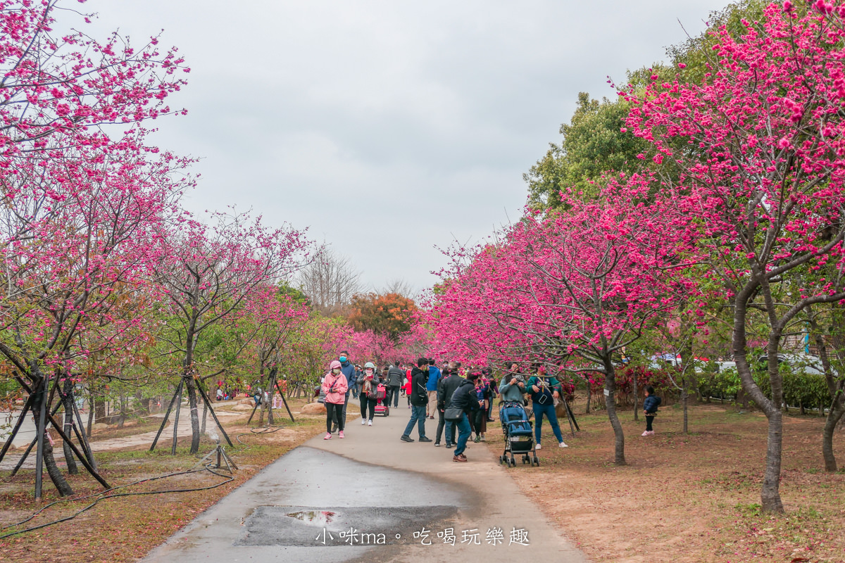 中科崴立櫻花公園|台中賞櫻不用上山,后里平地就有千坪櫻花林,完全免費任你拍,台中景點 - 第3張圖 中科崴立櫻花公園|台中賞櫻不用上山,后里平地就有千坪櫻花林,完全免費任你拍,台中景點