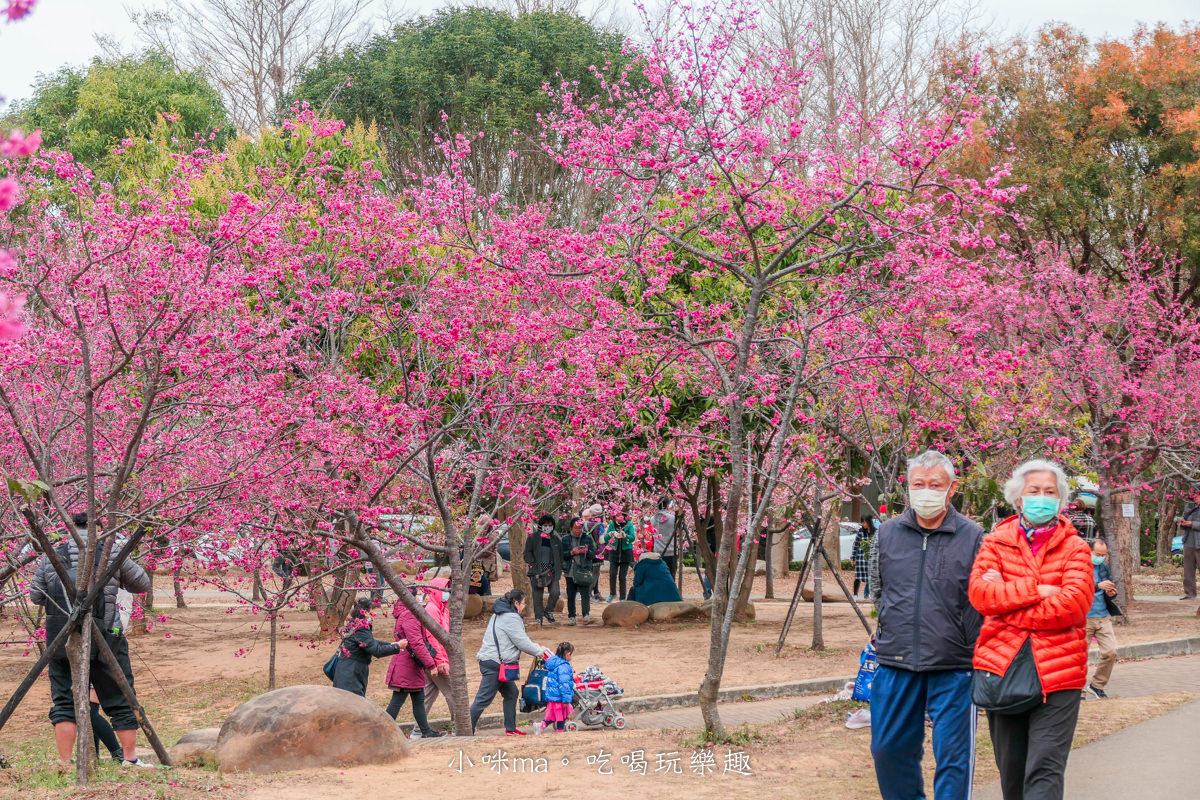 中科崴立櫻花公園|台中賞櫻不用上山,后里平地就有千坪櫻花林,完全免費任你拍,台中景點 - 第4張圖 中科崴立櫻花公園|台中賞櫻不用上山,后里平地就有千坪櫻花林,完全免費任你拍,台中景點