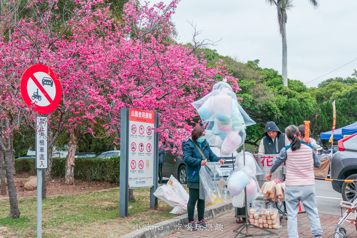 中科崴立櫻花公園|台中賞櫻不用上山,后里平地就有千坪櫻花林,完全免費任你拍,台中景點 - 第6張圖 中科崴立櫻花公園|台中賞櫻不用上山,后里平地就有千坪櫻花林,完全免費任你拍,台中景點