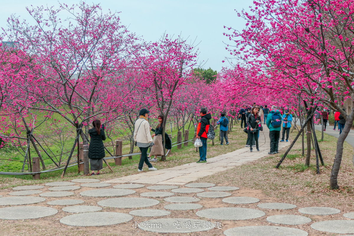 中科崴立櫻花公園|台中賞櫻不用上山,后里平地就有千坪櫻花林,完全免費任你拍,台中景點 - 第10張圖 中科崴立櫻花公園|台中賞櫻不用上山,后里平地就有千坪櫻花林,完全免費任你拍,台中景點