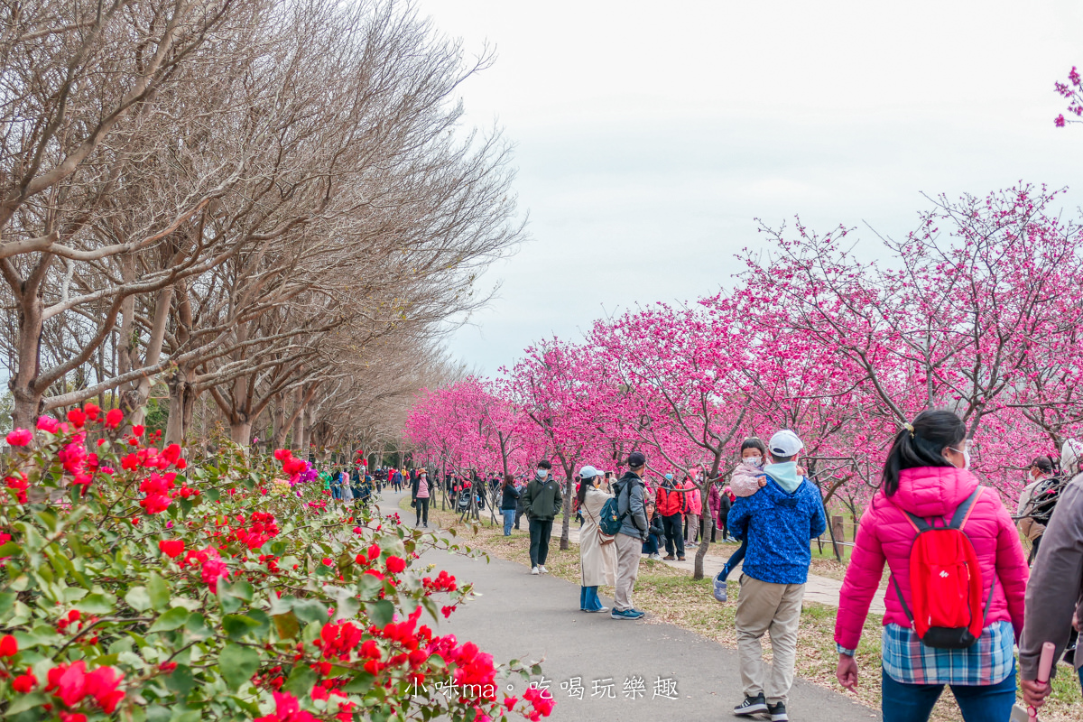 中科崴立櫻花公園|台中賞櫻不用上山,后里平地就有千坪櫻花林,完全免費任你拍,台中景點 - 第18張圖 中科崴立櫻花公園|台中賞櫻不用上山,后里平地就有千坪櫻花林,完全免費任你拍,台中景點