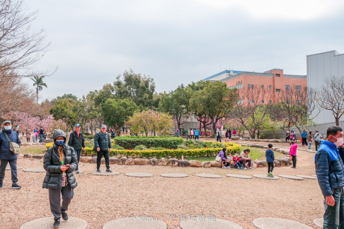 中科崴立櫻花公園|台中賞櫻不用上山,后里平地就有千坪櫻花林,完全免費任你拍,台中景點 - 第9張圖 中科崴立櫻花公園|台中賞櫻不用上山,后里平地就有千坪櫻花林,完全免費任你拍,台中景點