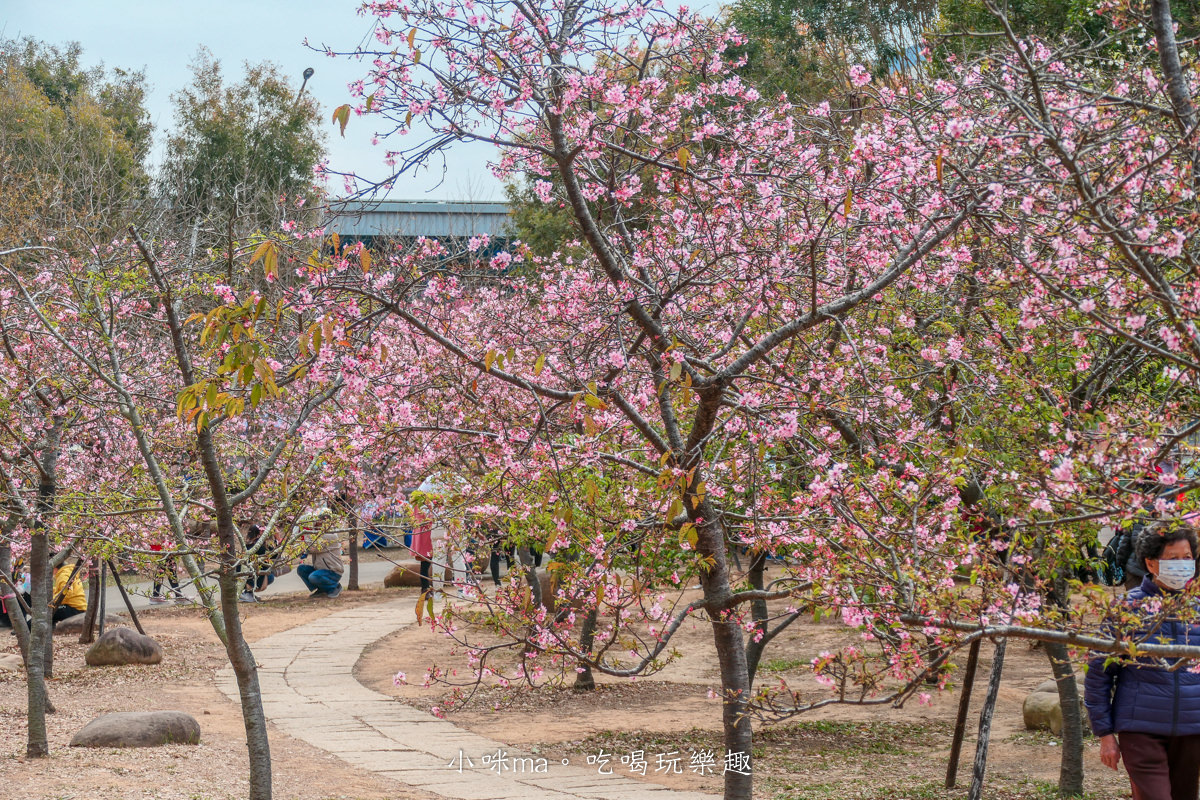 中科崴立櫻花公園|台中賞櫻不用上山,后里平地就有千坪櫻花林,完全免費任你拍,台中景點 - 第7張圖 中科崴立櫻花公園|台中賞櫻不用上山,后里平地就有千坪櫻花林,完全免費任你拍,台中景點