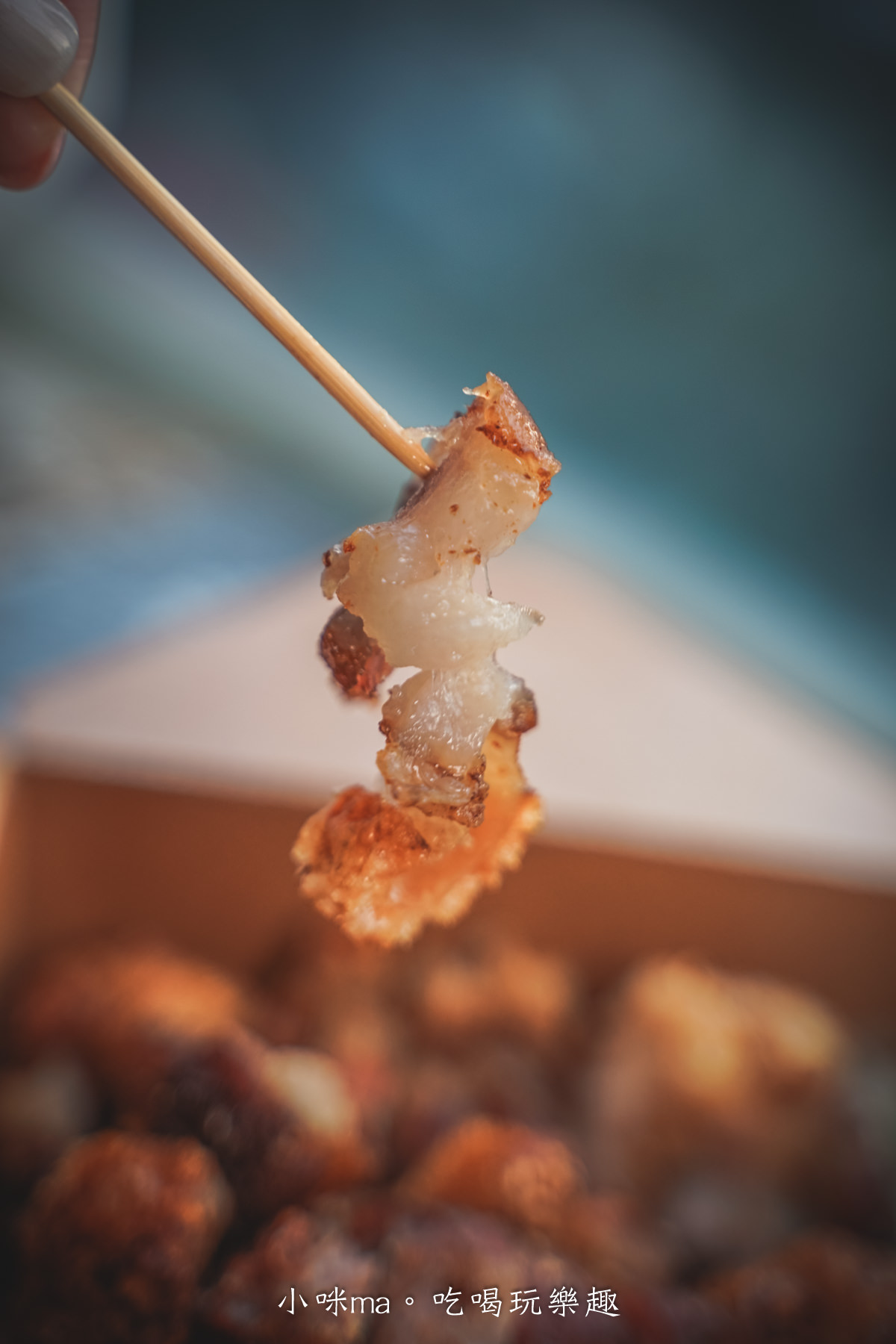 有利脆皮豬-內湖店|食尚玩家大推,無法安靜吃的脆皮豬,在嘴裡ㄎㄠ ㄎㄠ的聲音 超適合錄ASMR,捷運港墘站 - 第15張圖 有利脆皮豬-內湖店|食尚玩家大推,無法安靜吃的脆皮豬,在嘴裡ㄎㄠ ㄎㄠ的聲音 超適合錄ASMR,捷運港墘站