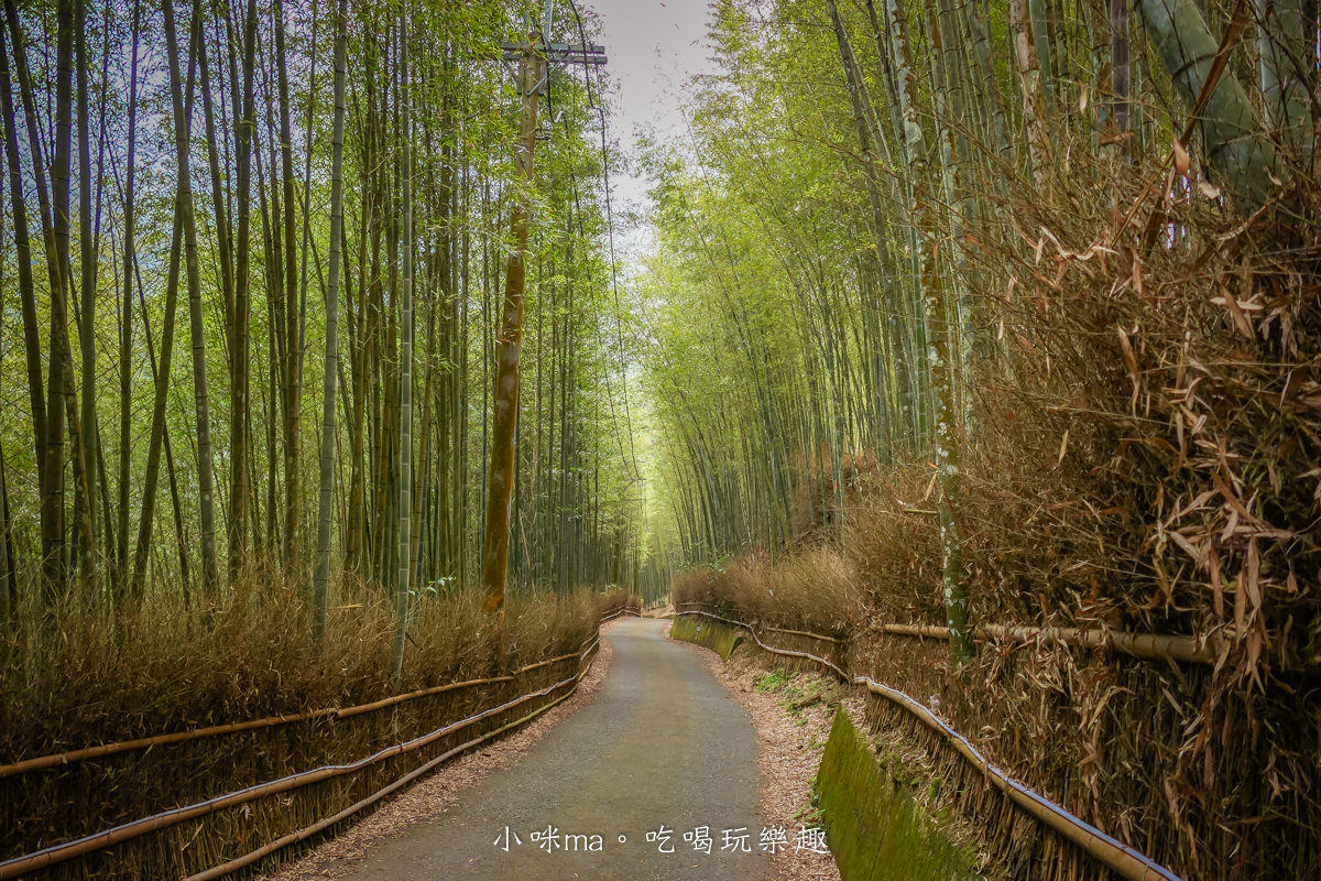 大鞍竹海隧道|台版京都嵐山竹林隧道!200公尺就讓你拍翻,免門票又好停車,往八卦茶園路上,竹山景點 - 第5張圖 大鞍竹海隧道|台版京都嵐山竹林隧道!200公尺就讓你拍翻,免門票又好停車,往八卦茶園路上,竹山景點