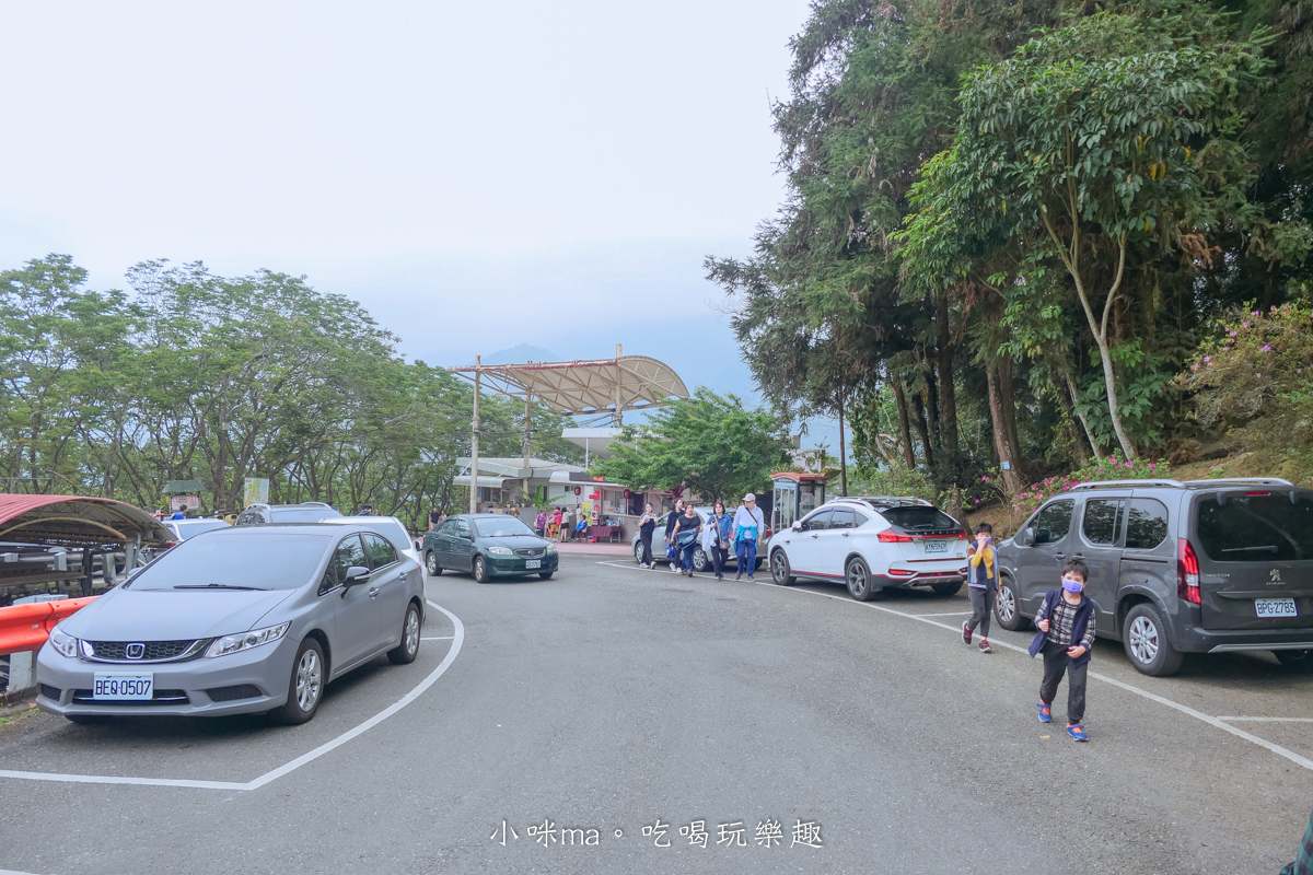 南投鳳凰谷鳥園生態園區|銅板價門票讓你近距離接觸鳥類,磨石子溜滑梯、森林步道、瀑布通通有,南投景點 - 第3張圖 南投鳳凰谷鳥園生態園區|銅板價門票讓你近距離接觸鳥類,磨石子溜滑梯、森林步道、瀑布通通有,南投景點