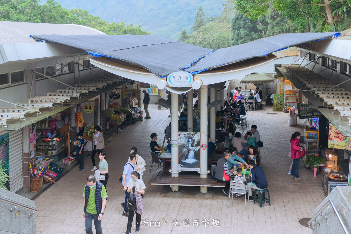 南投鳳凰谷鳥園生態園區|銅板價門票讓你近距離接觸鳥類,磨石子溜滑梯、森林步道、瀑布通通有,南投景點 - 第5張圖 南投鳳凰谷鳥園生態園區|銅板價門票讓你近距離接觸鳥類,磨石子溜滑梯、森林步道、瀑布通通有,南投景點