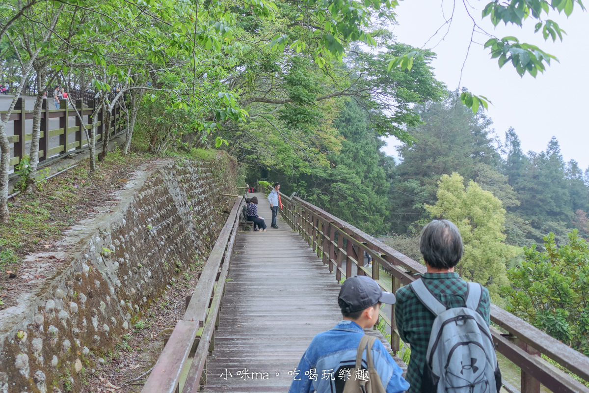 南投鳳凰谷鳥園生態園區|銅板價門票讓你近距離接觸鳥類,磨石子溜滑梯、森林步道、瀑布通通有,南投景點 - 第7張圖 南投鳳凰谷鳥園生態園區|銅板價門票讓你近距離接觸鳥類,磨石子溜滑梯、森林步道、瀑布通通有,南投景點