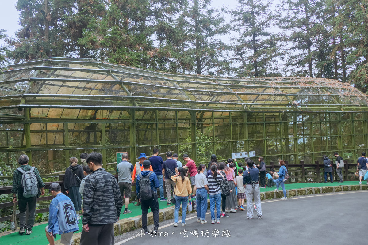 南投鳳凰谷鳥園生態園區|銅板價門票讓你近距離接觸鳥類,磨石子溜滑梯、森林步道、瀑布通通有,南投景點 - 第13張圖 南投鳳凰谷鳥園生態園區|銅板價門票讓你近距離接觸鳥類,磨石子溜滑梯、森林步道、瀑布通通有,南投景點