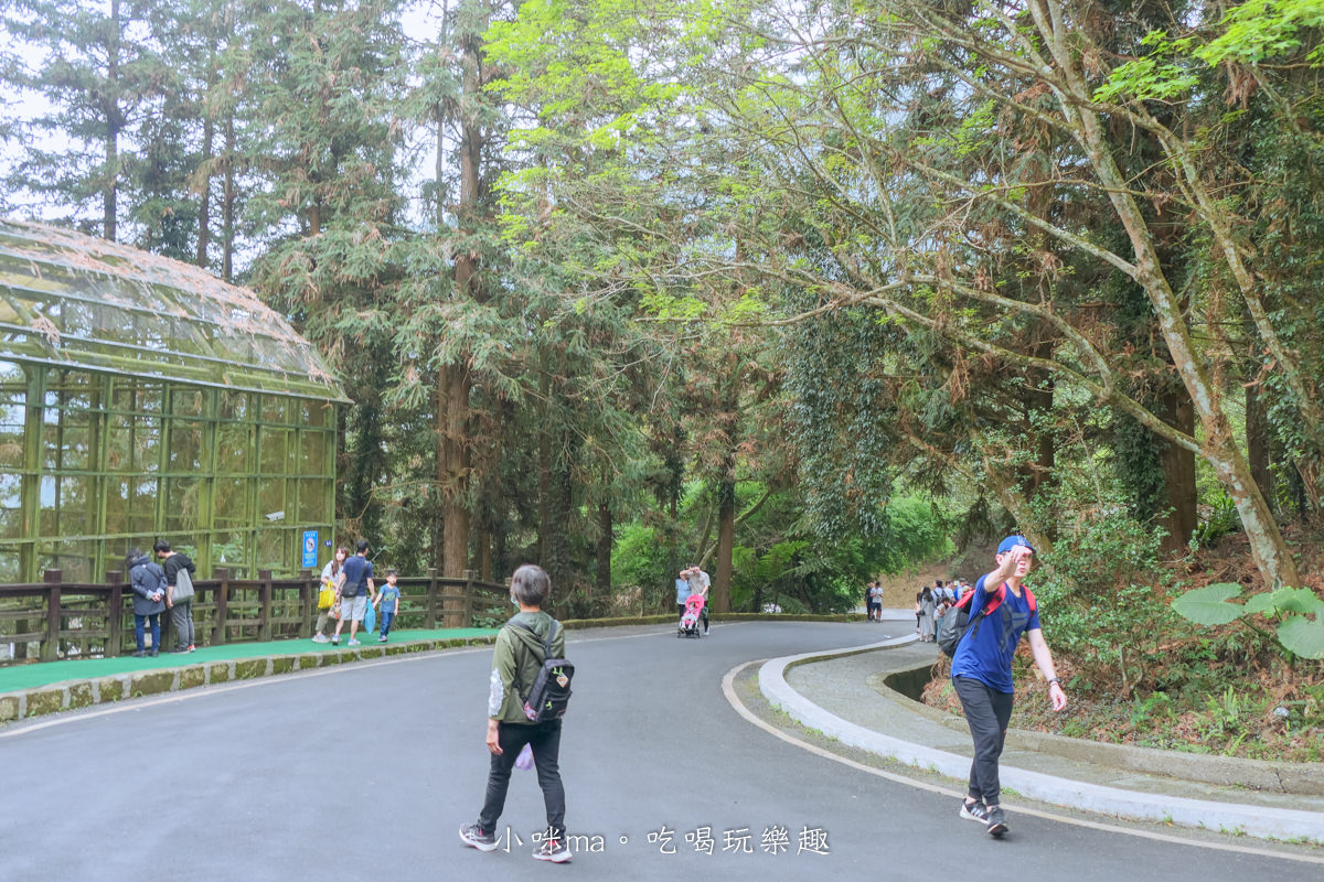 南投鳳凰谷鳥園生態園區|銅板價門票讓你近距離接觸鳥類,磨石子溜滑梯、森林步道、瀑布通通有,南投景點 - 第12張圖 南投鳳凰谷鳥園生態園區|銅板價門票讓你近距離接觸鳥類,磨石子溜滑梯、森林步道、瀑布通通有,南投景點
