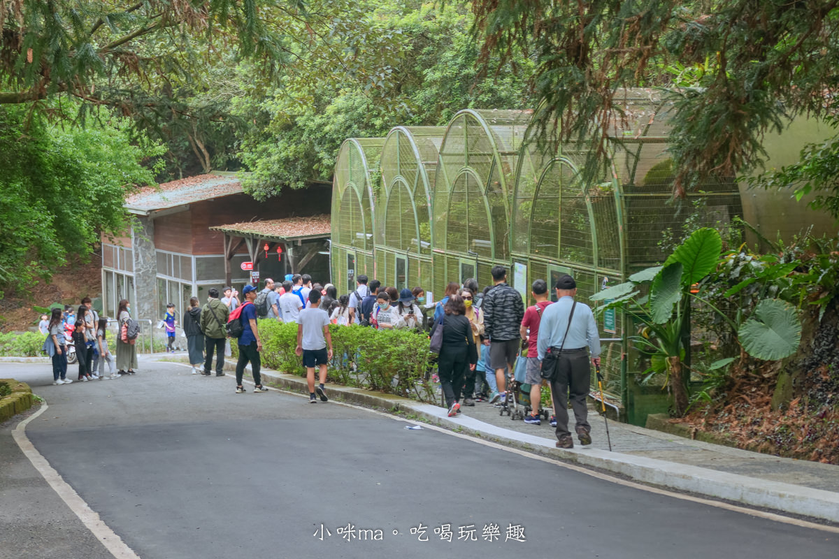 南投鳳凰谷鳥園生態園區|銅板價門票讓你近距離接觸鳥類,磨石子溜滑梯、森林步道、瀑布通通有,南投景點 - 第17張圖 南投鳳凰谷鳥園生態園區|銅板價門票讓你近距離接觸鳥類,磨石子溜滑梯、森林步道、瀑布通通有,南投景點