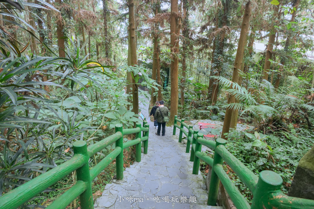 南投鳳凰谷鳥園生態園區|銅板價門票讓你近距離接觸鳥類,磨石子溜滑梯、森林步道、瀑布通通有,南投景點 - 第25張圖 南投鳳凰谷鳥園生態園區|銅板價門票讓你近距離接觸鳥類,磨石子溜滑梯、森林步道、瀑布通通有,南投景點