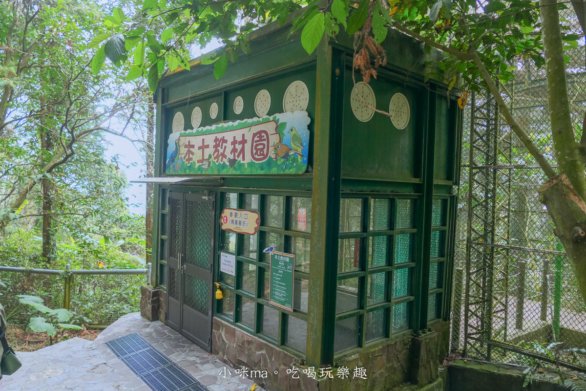 南投鳳凰谷鳥園生態園區|銅板價門票讓你近距離接觸鳥類,磨石子溜滑梯、森林步道、瀑布通通有,南投景點 - 第26張圖 南投鳳凰谷鳥園生態園區|銅板價門票讓你近距離接觸鳥類,磨石子溜滑梯、森林步道、瀑布通通有,南投景點