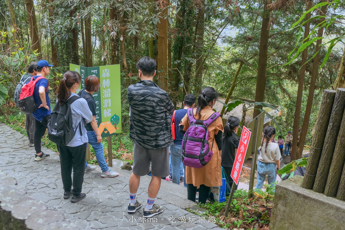 南投鳳凰谷鳥園生態園區|銅板價門票讓你近距離接觸鳥類,磨石子溜滑梯、森林步道、瀑布通通有,南投景點 - 第28張圖 南投鳳凰谷鳥園生態園區|銅板價門票讓你近距離接觸鳥類,磨石子溜滑梯、森林步道、瀑布通通有,南投景點
