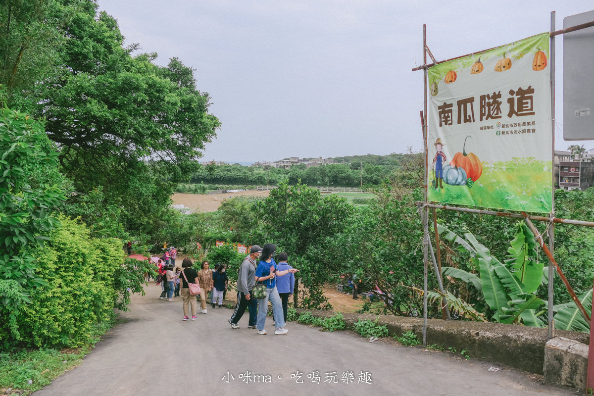 淡水南瓜隧道｜期間限定的彩虹南瓜隧道，超過20種南瓜品種讓你開眼界，免費景點順便拍美照，淡水景點