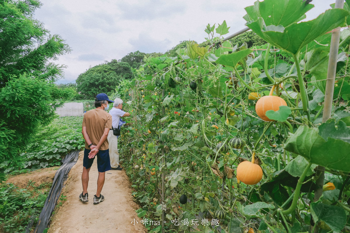 淡水南瓜隧道｜期間限定的彩虹南瓜隧道，超過20種南瓜品種讓你開眼界，免費景點順便拍美照，淡水景點
