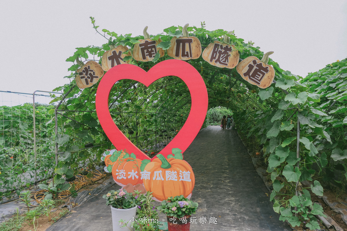 淡水南瓜隧道｜期間限定的彩虹南瓜隧道，超過20種南瓜品種讓你開眼界，免費景點順便拍美照，淡水景點