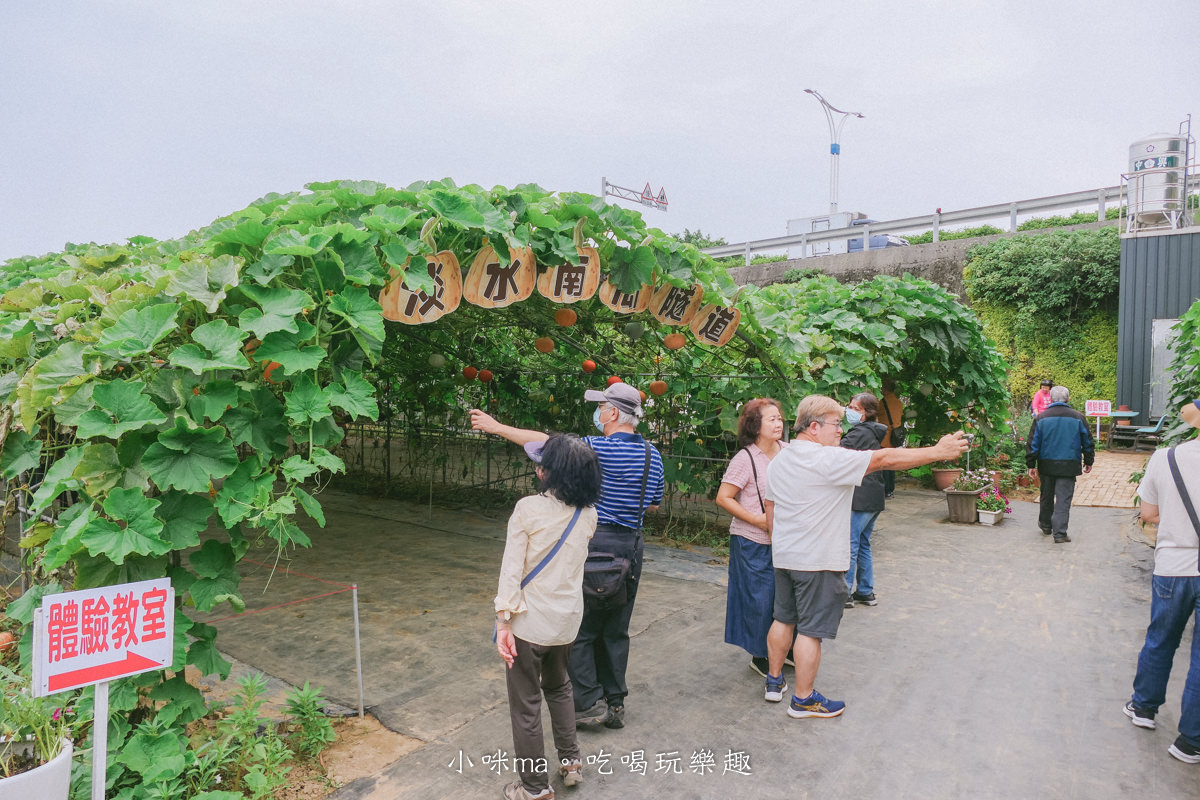 淡水南瓜隧道｜期間限定的彩虹南瓜隧道，超過20種南瓜品種讓你開眼界，免費景點順便拍美照，淡水景點