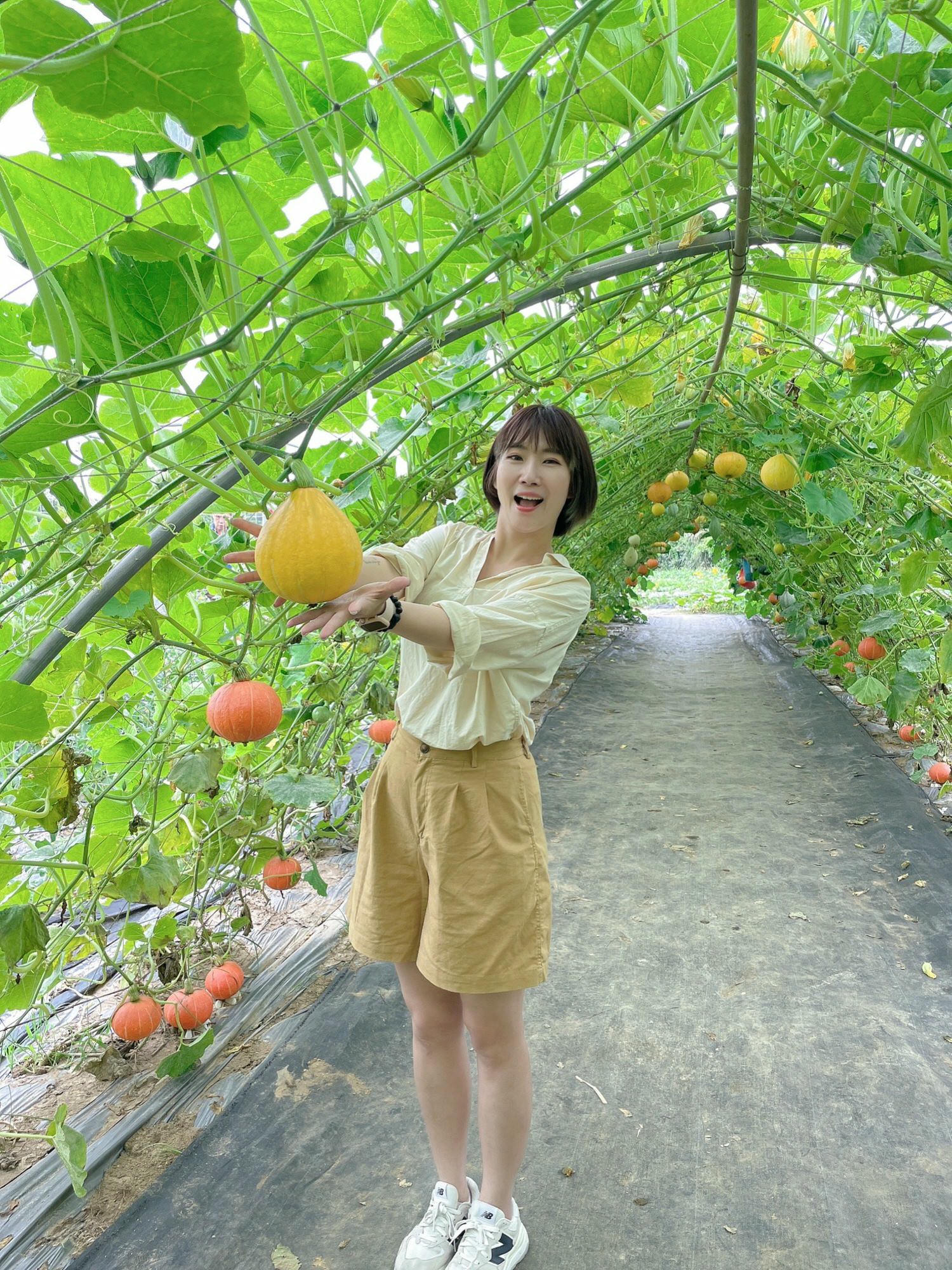 淡水南瓜隧道｜期間限定的彩虹南瓜隧道，超過20種南瓜品種讓你開眼界，免費景點順便拍美照，淡水景點