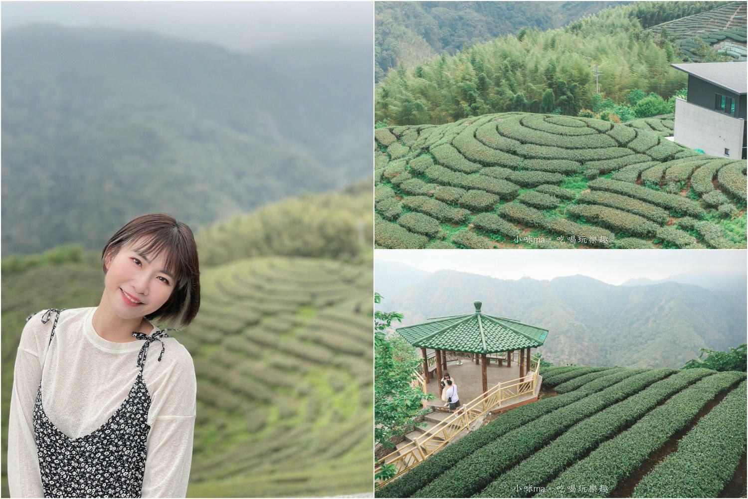 【南投景點】八卦茶園|雲霧繚繞的翠綠茶園,茶飲廣告拍攝場景,櫻花季來更是美不勝收,竹山景點 - 第1張圖 【南投景點】八卦茶園|雲霧繚繞的翠綠茶園,茶飲廣告拍攝場景,櫻花季來更是美不勝收,竹山景點