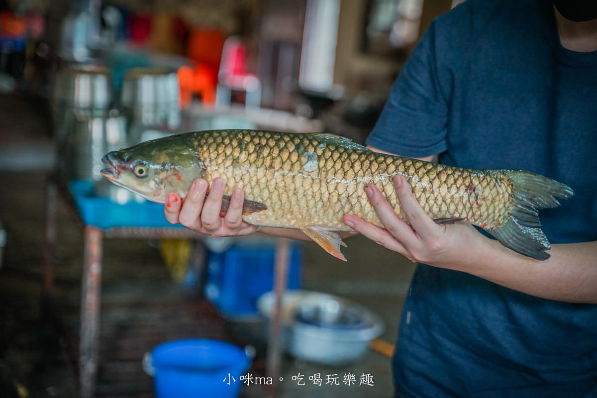 十一份活魚餐廳｜石門水庫必吃活魚四吃！稱斤現撈活魚 價格公開透明，菜色豐富選擇多，桃園美食 / 石門活魚推薦