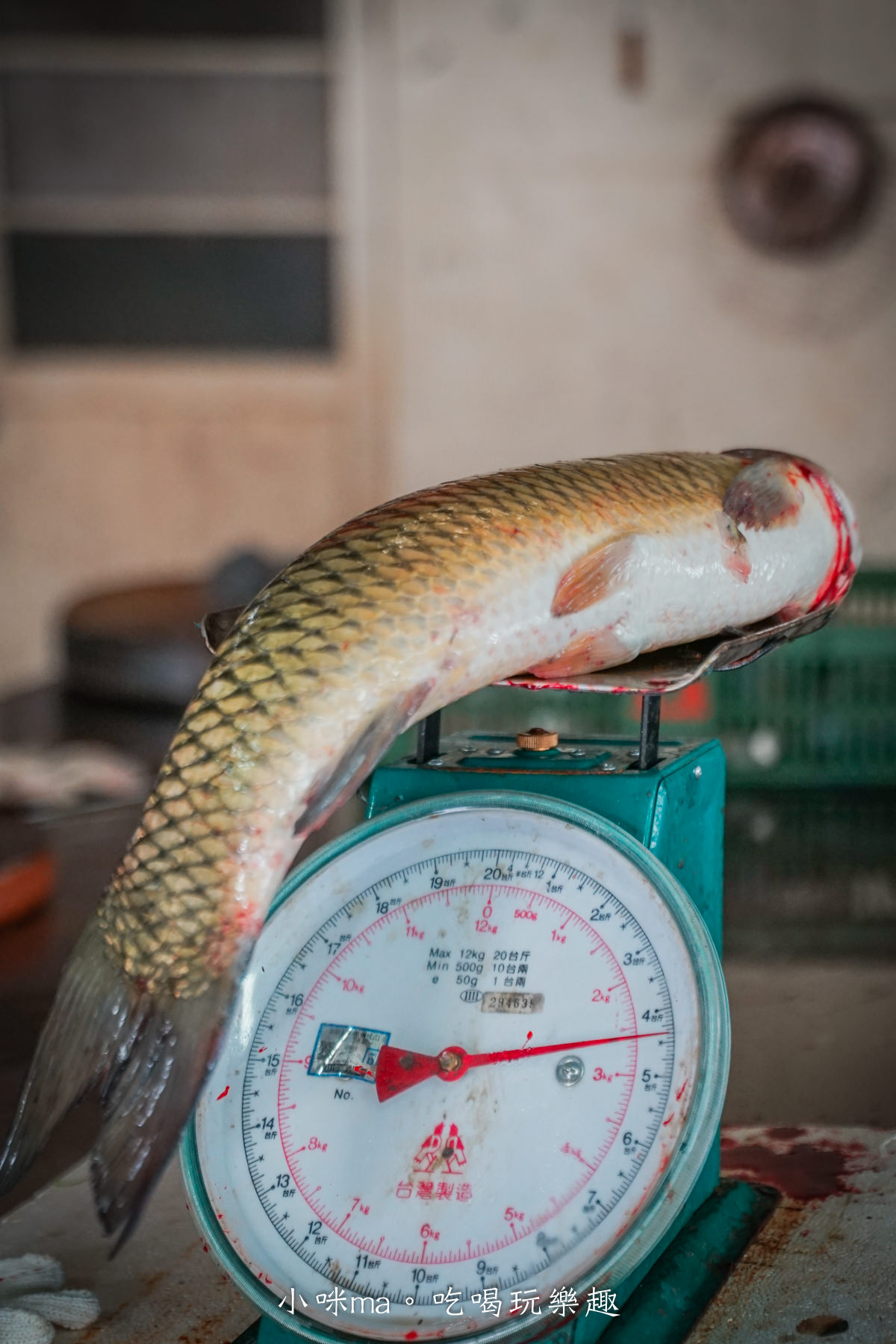 十一份活魚餐廳｜石門水庫必吃活魚四吃！稱斤現撈活魚 價格公開透明，菜色豐富選擇多，桃園美食 / 石門活魚推薦